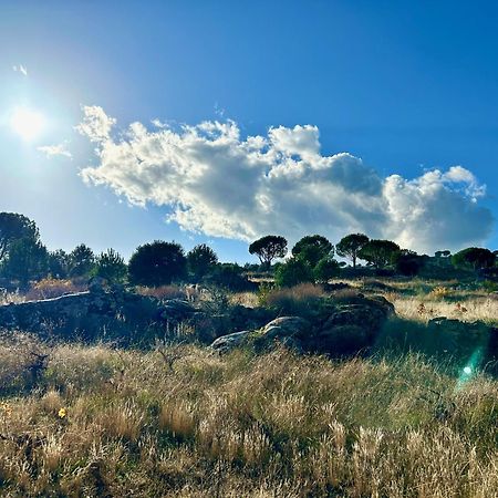 El Hoyo de Pinares Casa Rural, “El Andador” מראה חיצוני תמונה