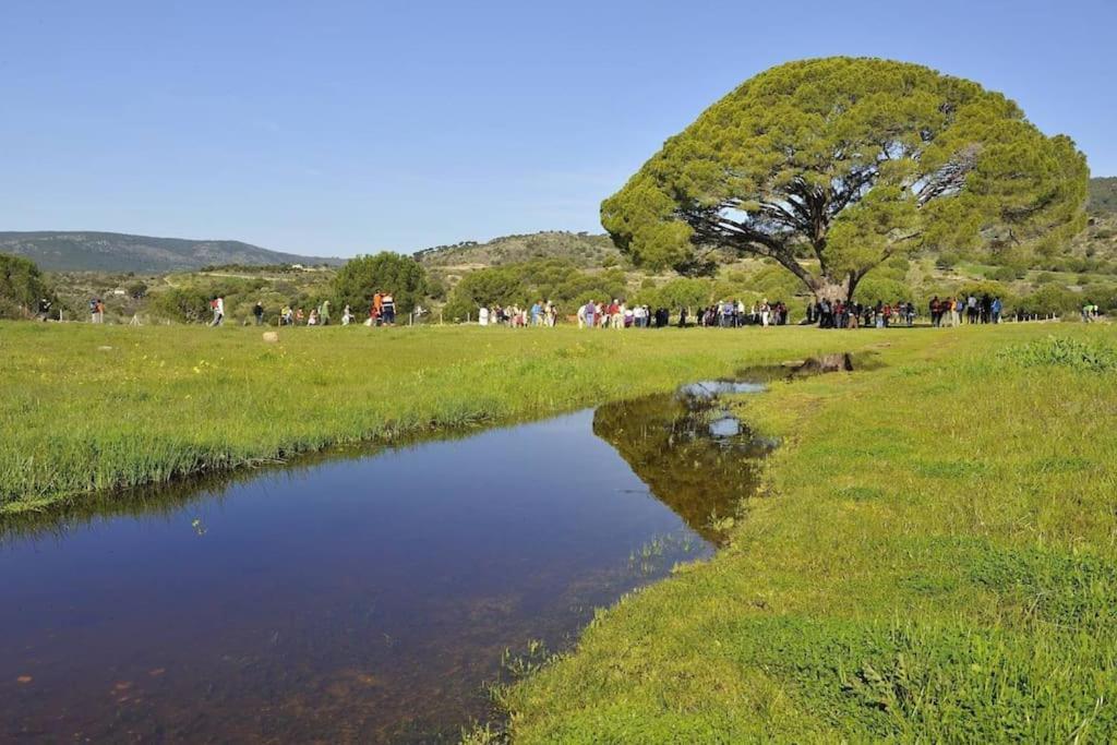 El Hoyo de Pinares Casa Rural, “El Andador” מראה חיצוני תמונה