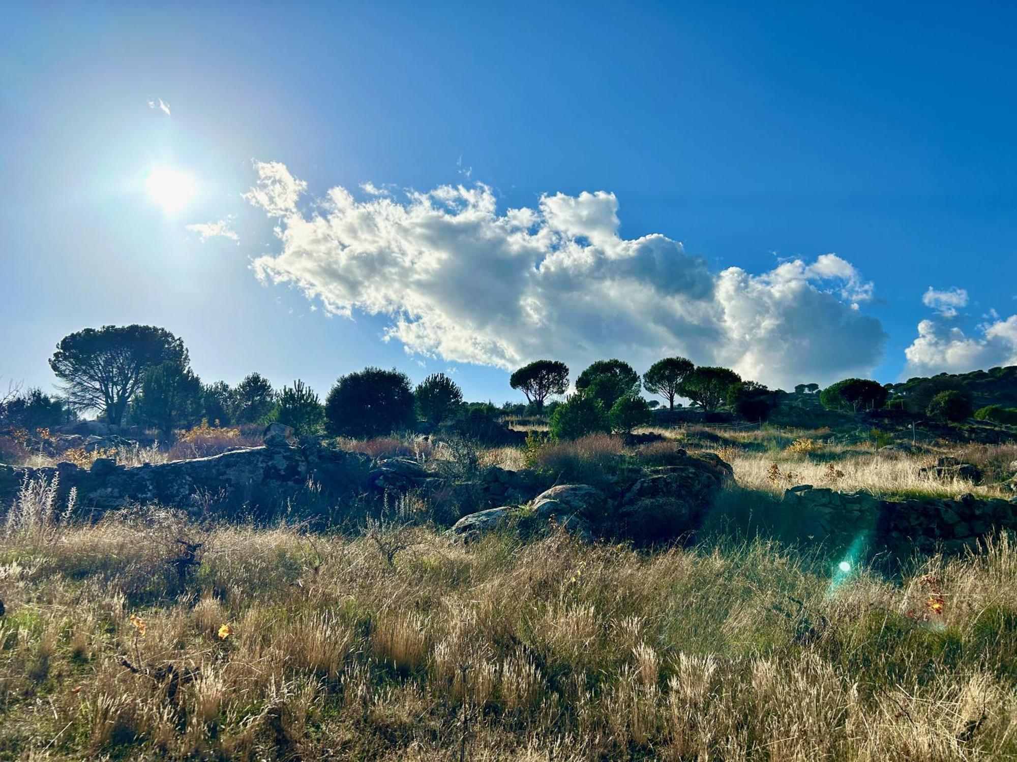 El Hoyo de Pinares Casa Rural, “El Andador” מראה חיצוני תמונה
